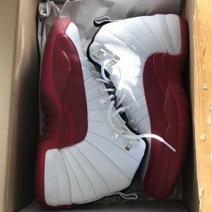Air Jordan 12’s